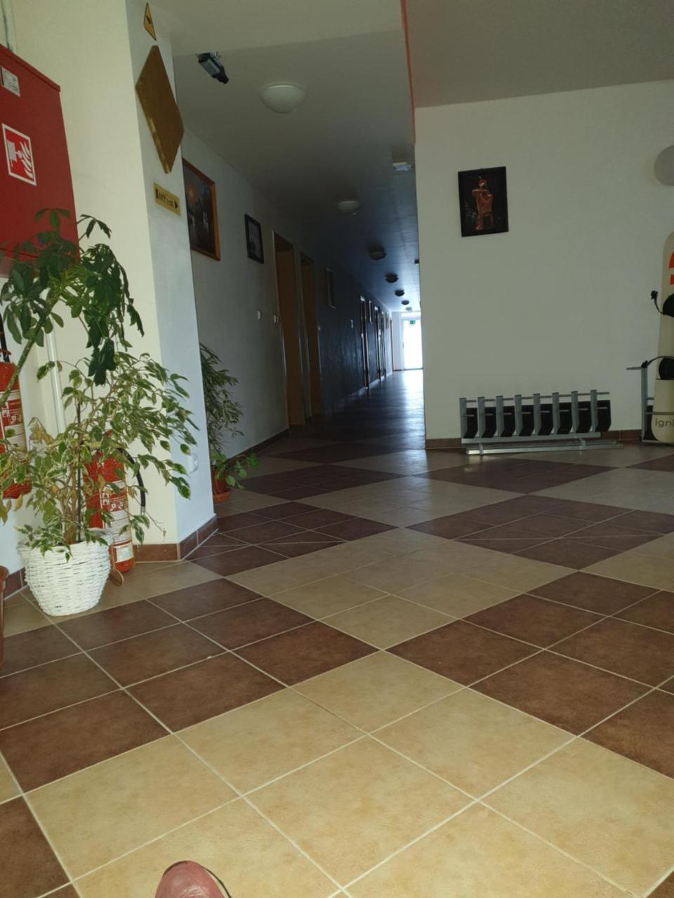 Apartman Richard Lipno nad Vltavou Kültér fotó